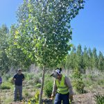 WhatsApp Image 2025-11-19 at 10.26.07 (1)