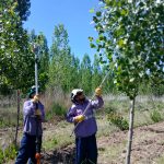 WhatsApp Image 2025-11-19 at 10.26.07