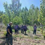 WhatsApp Image 2025-11-19 at 10.26.07 (2)