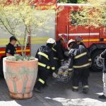 Simulacro-de-sismo-26-scaled