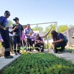 WhatsApp Image 2025-11-28 at 11.15.19