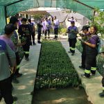 WhatsApp Image 2025-11-28 at 11.15.21 (1)