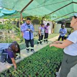 WhatsApp Image 2025-11-28 at 11.15.21