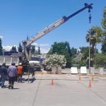 WhatsApp Image 2025-12-02 at 14.18.11